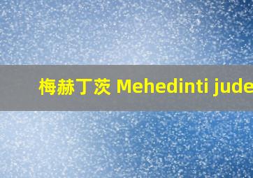 梅赫丁茨 Mehedinti judet